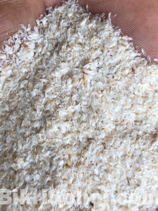 বেলারুশী ইসুবগুলের ভুষি (ভায়া ইন্ডিয়া)