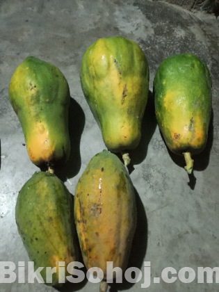 Papaya and bit root