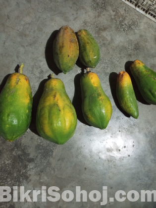 Papaya and bit root