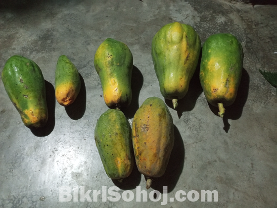 Papaya and bit root
