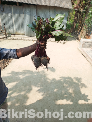 Papaya and bit root