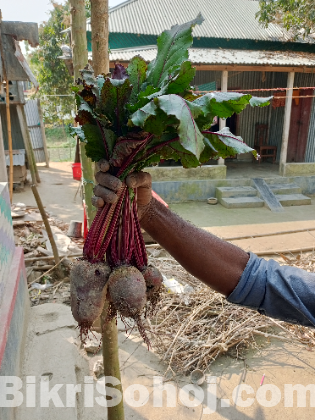 Papaya and bit root