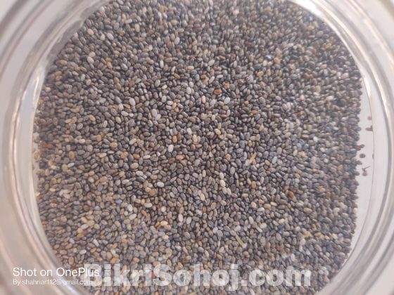 চিয়া সিড (Chia Seeds)