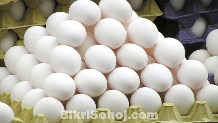 ডিম