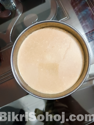 ঘরোয়া তৈরি দই