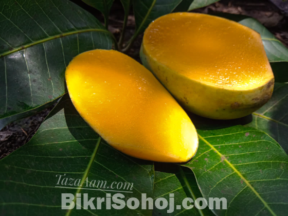 রাজশাহীর সুমিষ্ট বৈশাখী আম