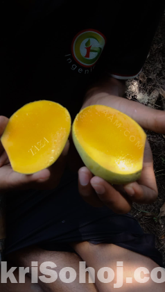 রাজশাহীর সুমিষ্ট বৈশাখী আম
