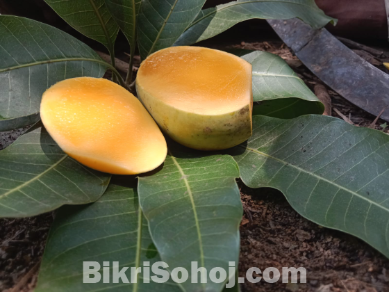 রাজশাহীর সুমিষ্ট বৈশাখী আম