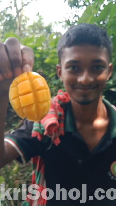 রাজশাহীর সুমিষ্ট বৈশাখী আম