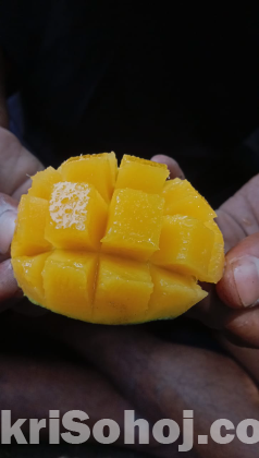 রাজশাহীর সুমিষ্ট বৈশাখী আম