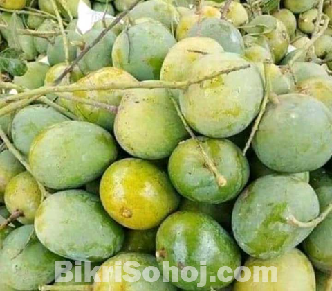 হিমসাগর আম  ১০০ টাকা কেজি