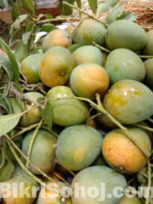 ফ্রেস হিমসাগর আম ১০০ টাকা কেজি
