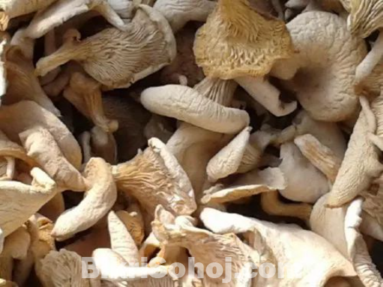 শুখনো মাশরুম, হোম ডেলিভারি। প্রতি কেজি ১৫০০