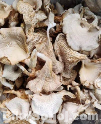 শুখনো মাশরুম, হোম ডেলিভারি। প্রতি কেজি ১৫০০