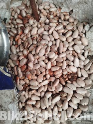 কাঁঠালের বিচি