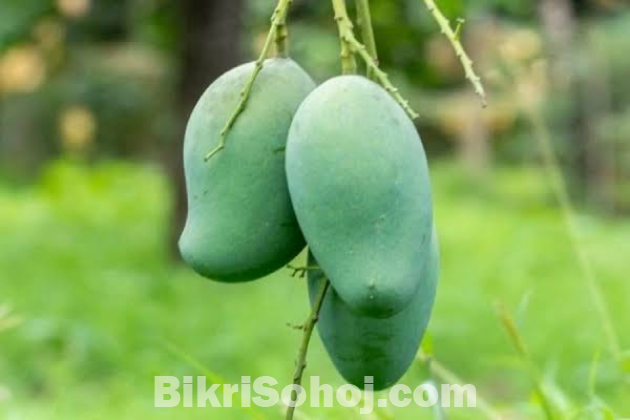 আমরুপালি আম