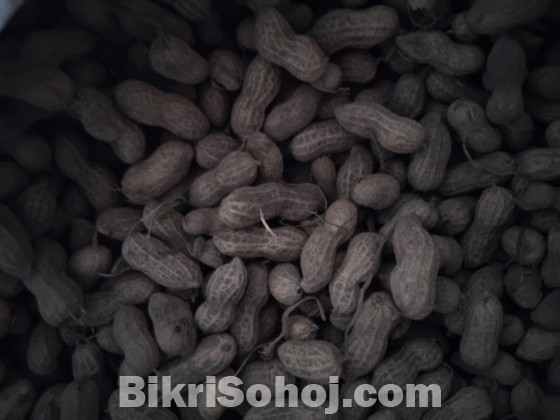 বাদাম