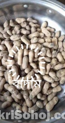 বাদাম