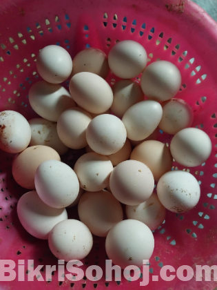 দেশী মুরগীর ডিম