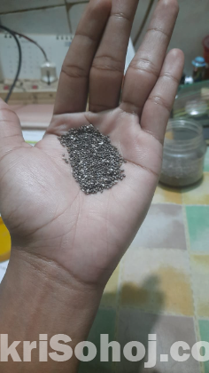 Chia seed