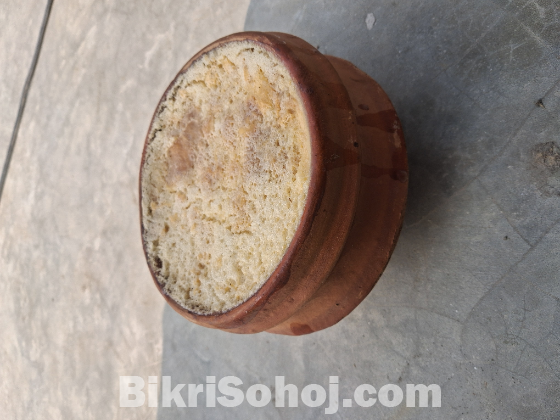 প্রাপ্ত চাঁপাইনবাবগঞ্জের সাদা মনের মানুষ জিয়াউল হকের দই