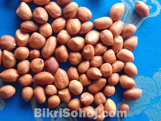 দেশি চিনা বাদাম