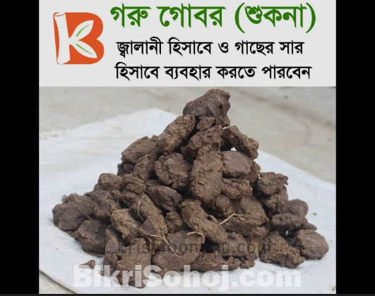 গবর