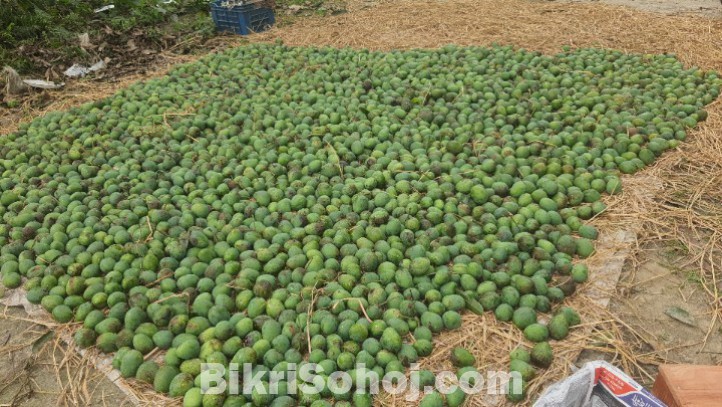 Mango