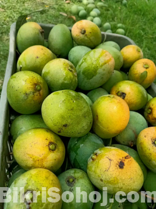 Rajshahi Mango