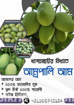 খাগড়াছড়ির বিখ্যাত আম্ররুপালি আম