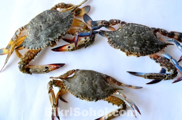 Crabs(কাকড়াঁ)