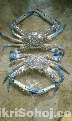 Crabs(কাকড়াঁ)