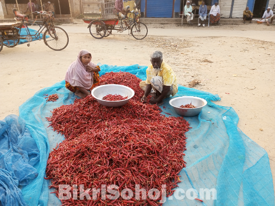 গুড়া মরিচ