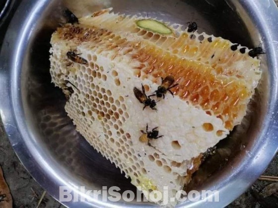 প্রাকৃতিক চাকের মধু ( ১০০% ভেজাল মুক্ত)