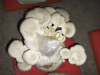 তাজা মাশরুম - Fresh Mushroom