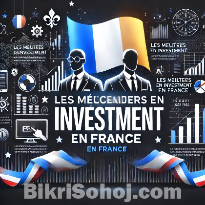Meilleur conseiller en investissement en France bikrisohoj