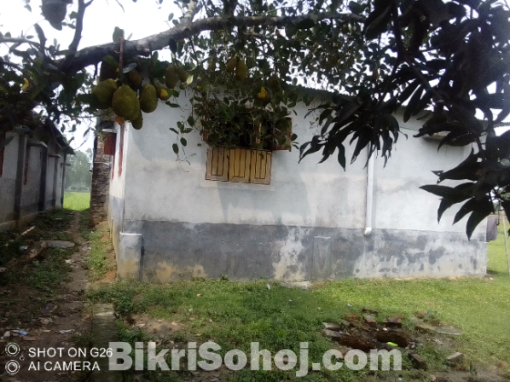 দুই তলা ফাউন্ডেশন সহ একতলা পাকা বাড়ি বিক্রি হবে