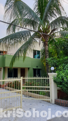 Rental of Independent House at Pink City