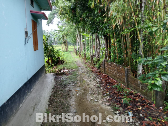 ঘর সহ সব কিছু রেডি করা বাড়ি জরুরি ভিতিতে বিক্রি করা হবে