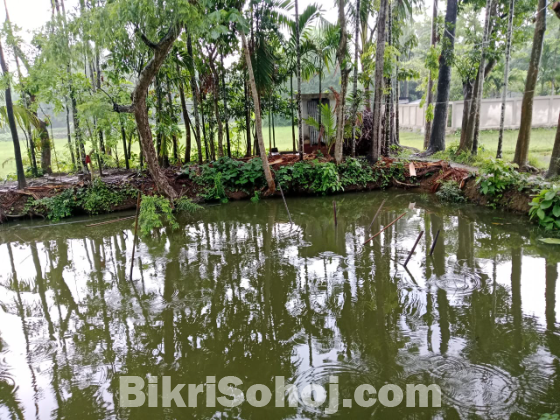 ঘর সহ সব কিছু রেডি করা বাড়ি জরুরি ভিতিতে বিক্রি করা হবে