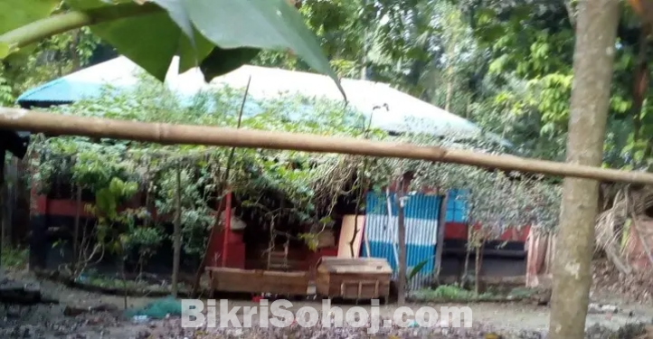 বাড়ী সহ জমি বিক্রয়।