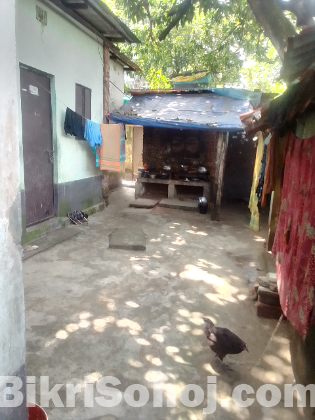 বাসা বাড়ী