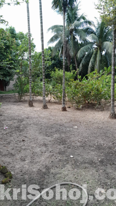 বাড়ি সহ জায়গা বিক্রি