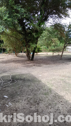 বাড়ি সহ জায়গা বিক্রি
