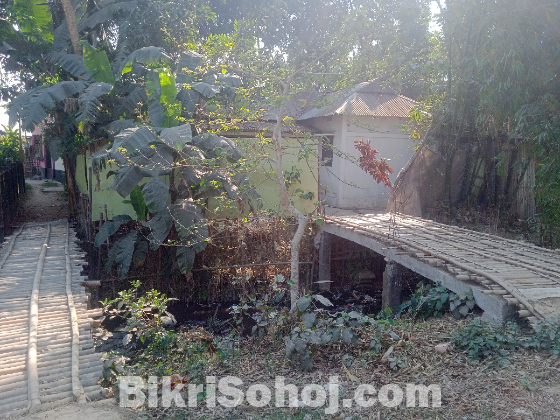 টিনশেড বাসা সহ 4.5 ডেসিমাল জায়গায় বিক্রি