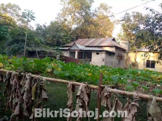 জরুরি ভিত্তিতে বসতবাড়ি সহ জমি বিক্রি