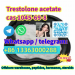 Testosterone acetate cas1045-69-8