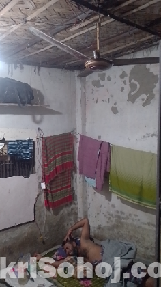 ফ্যামিলি / ব্যাচেলর