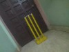 Cricket Flashing LED Stumps