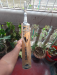Ton Cricket bat